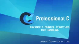 PROFESSIONAL C PROGRAMMING